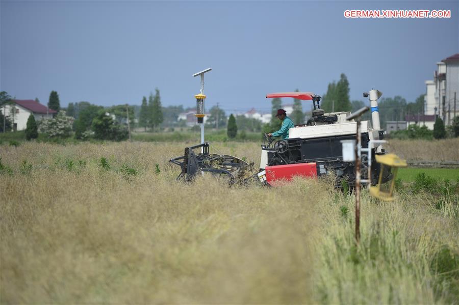 CHINA-JIANGXI-NANCHANG-FARMING (CN)