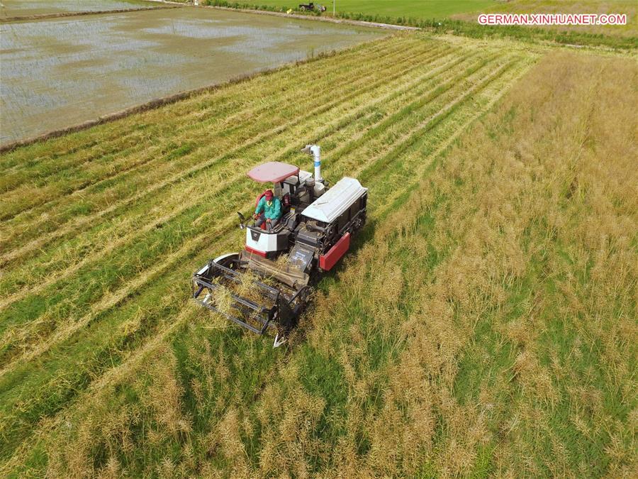 CHINA-JIANGXI-NANCHANG-FARMING (CN)