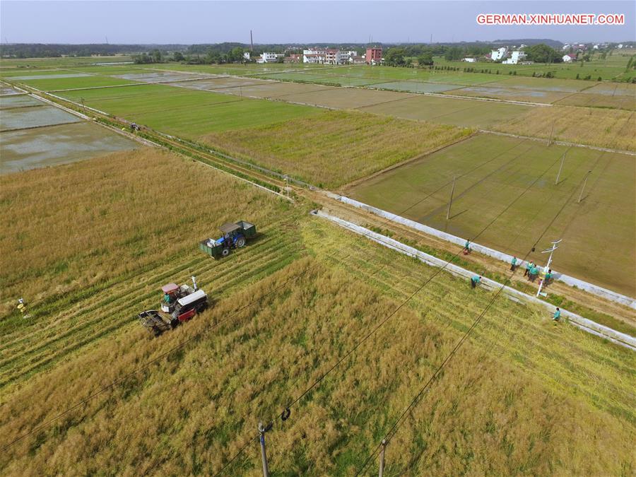 CHINA-JIANGXI-NANCHANG-FARMING (CN)