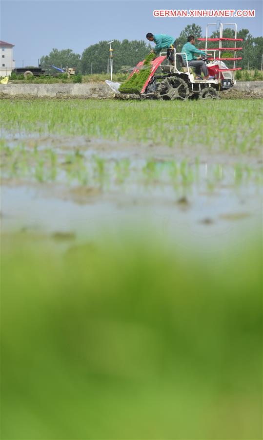 CHINA-JIANGXI-NANCHANG-FARMING (CN)