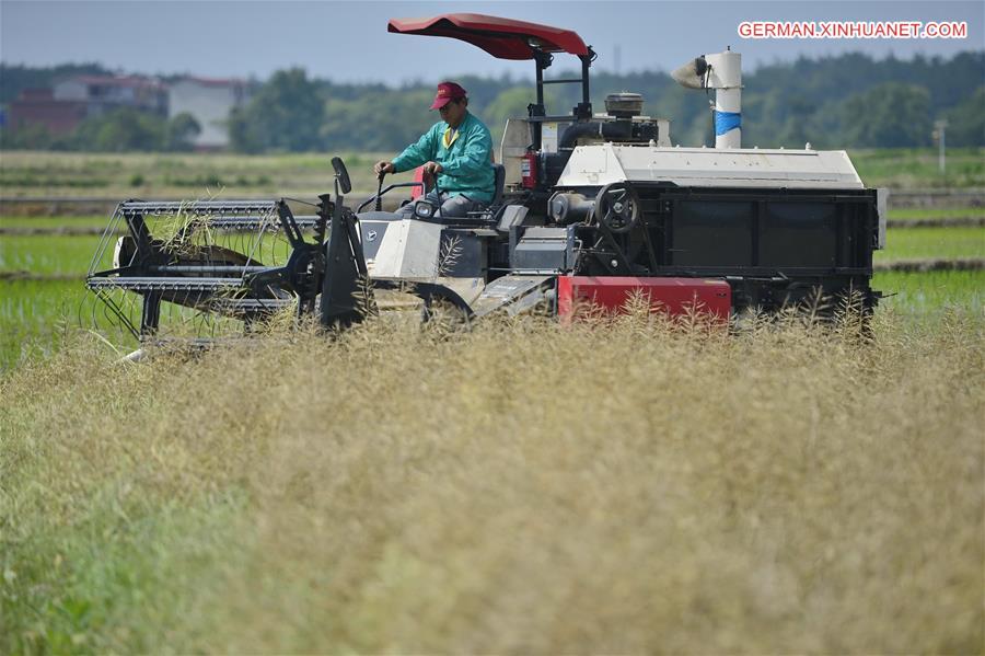 CHINA-JIANGXI-NANCHANG-FARMING (CN)