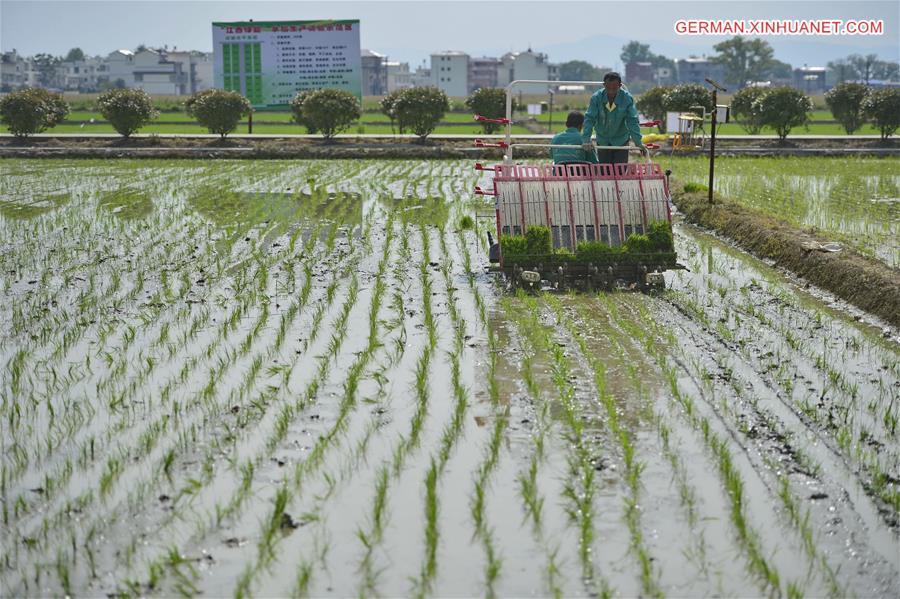 CHINA-JIANGXI-NANCHANG-FARMING (CN)