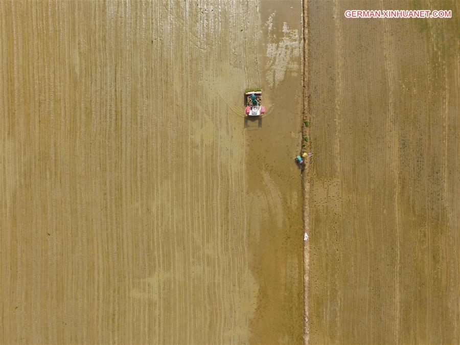 CHINA-JIANGXI-NANCHANG-FARMING (CN)