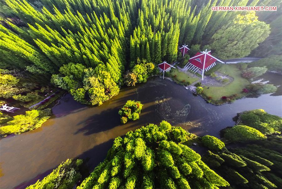 #CHINA-SHANGHAI-FOREST PARK(CN)