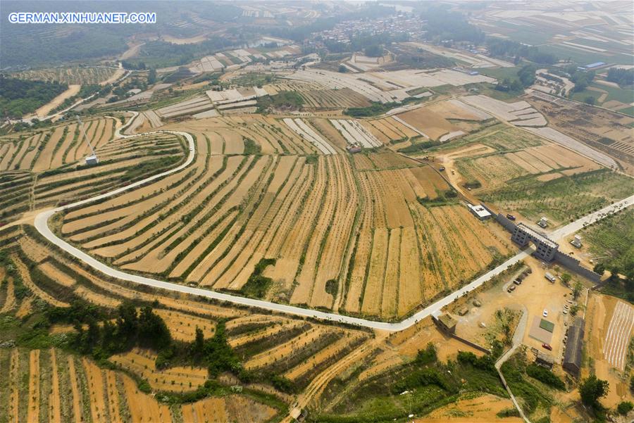 #CHINA-JIANGSU-LIANYUNGANG-TERRACED FIELDS(CN)