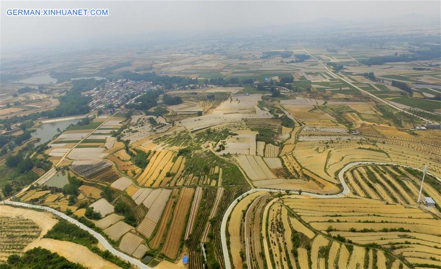 #CHINA-JIANGSU-LIANYUNGANG-TERRACED FIELDS(CN)