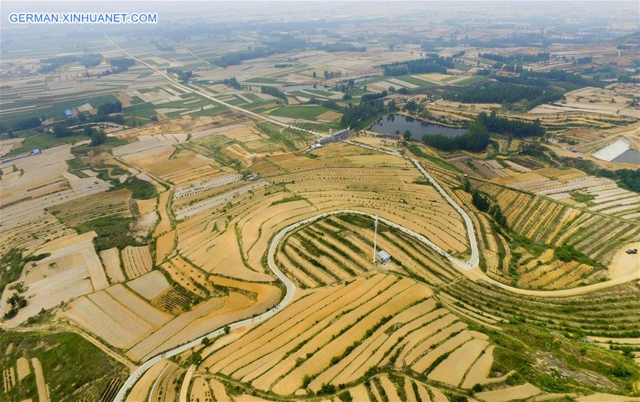 #CHINA-JIANGSU-LIANYUNGANG-TERRACED FIELDS(CN)