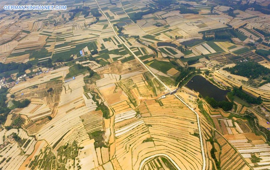 #CHINA-JIANGSU-LIANYUNGANG-TERRACED FIELDS(CN)