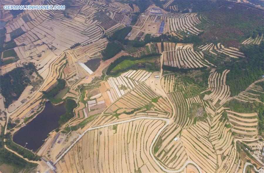 #CHINA-JIANGSU-LIANYUNGANG-TERRACED FIELDS(CN)