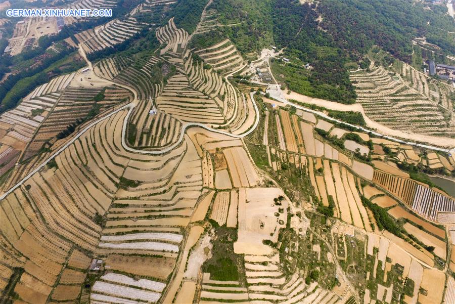#CHINA-JIANGSU-LIANYUNGANG-TERRACED FIELDS(CN)