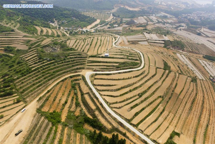 #CHINA-JIANGSU-LIANYUNGANG-TERRACED FIELDS(CN)