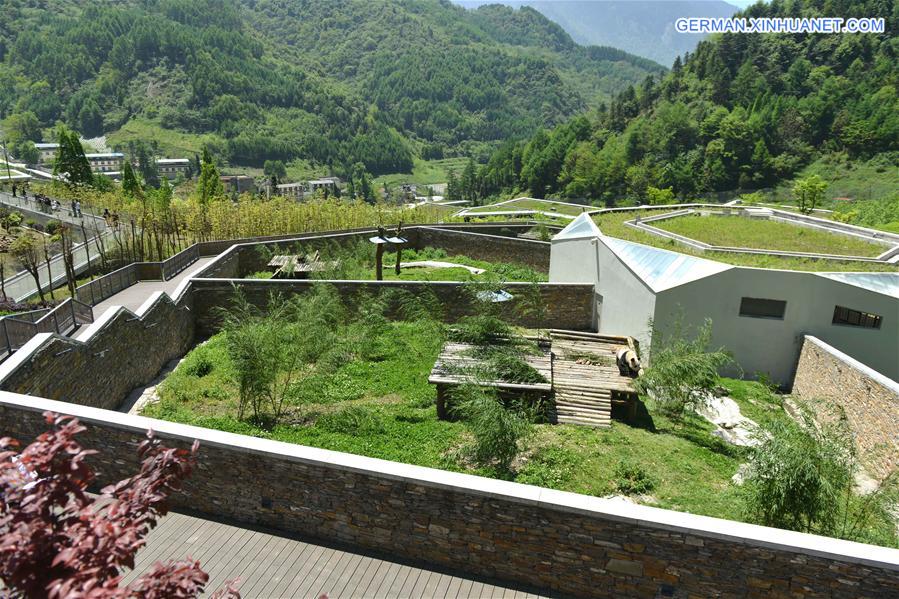 CHINA-SICHUAN-WOLONG-GIANT PANDA-RESEARCH CENTER (CN)