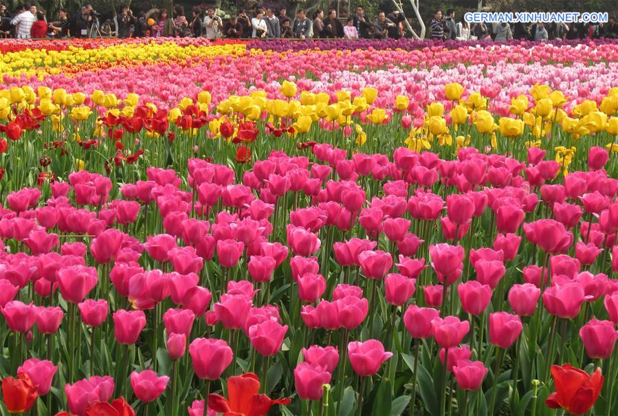 CHINA-CHANGCHUN-TULIP(CN)