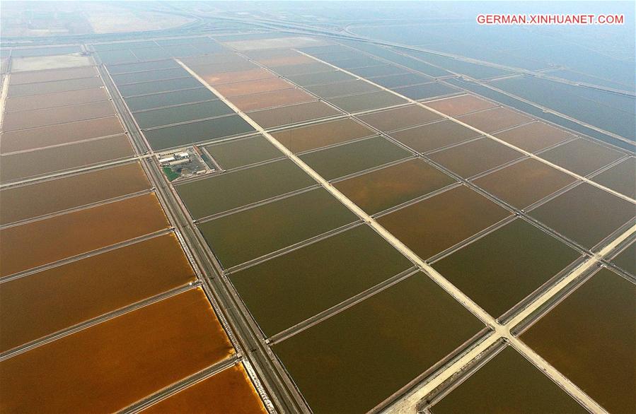 CHINA-TIANJIN-SALT FIELD (CN)