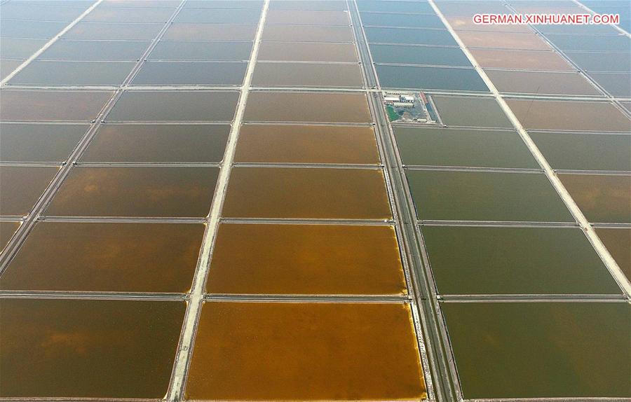 CHINA-TIANJIN-SALT FIELD (CN)