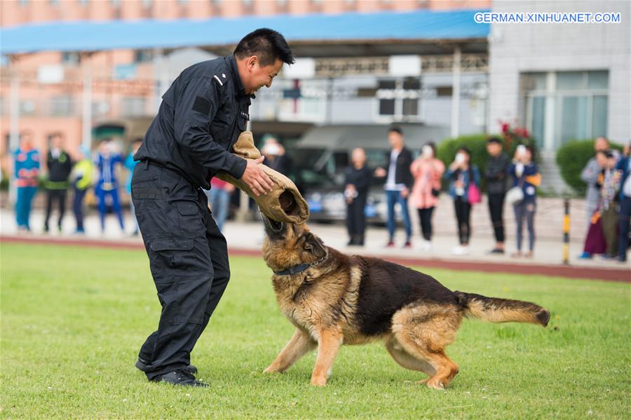 #CHINA-GUIZHOU-POLICE DOG-OPEN DAY (CN)