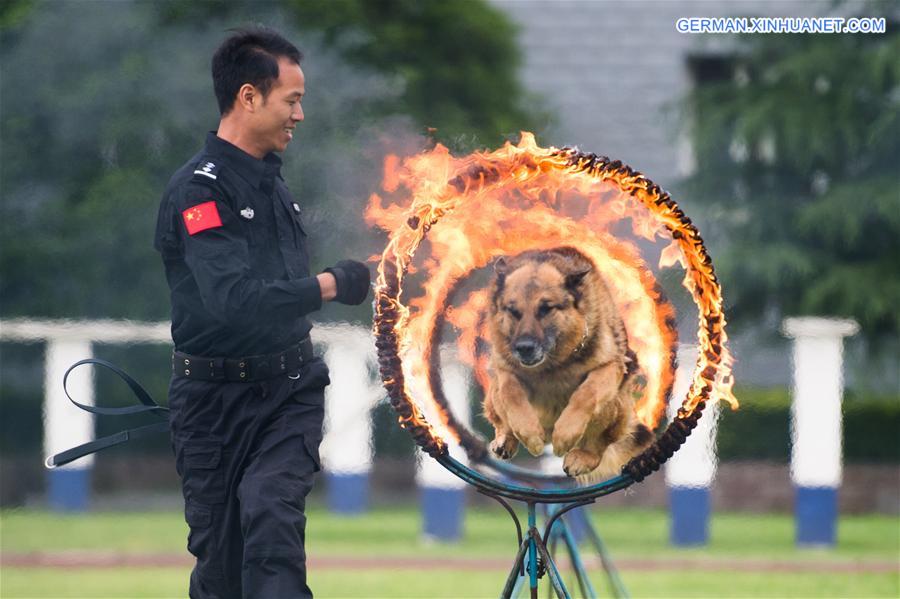 #CHINA-GUIZHOU-POLICE DOG-OPEN DAY (CN)