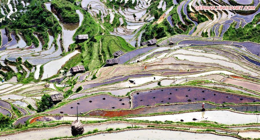 #CHINA-GUIZHOU-CONGJIANG-TERRACE FIELDS (CN)