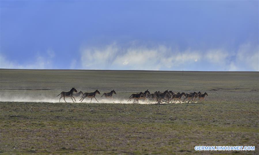 CHINA-TIBET-SCENERY (CN)