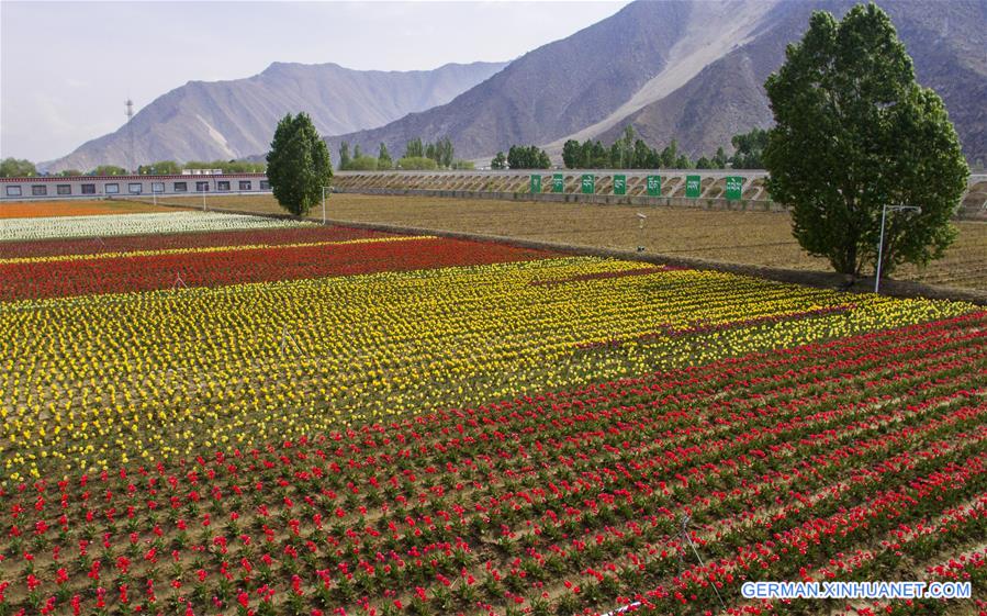 CHINA-TIBET-SCENERY (CN)