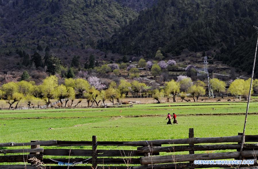 CHINA-TIBET-SCENERY (CN)