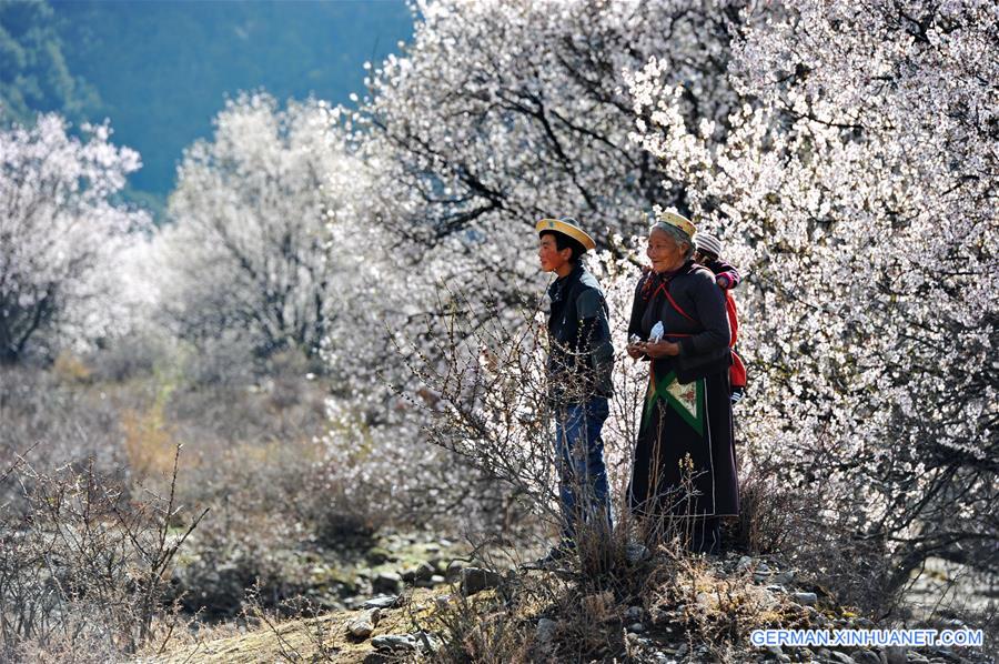 CHINA-TIBET-SCENERY (CN)