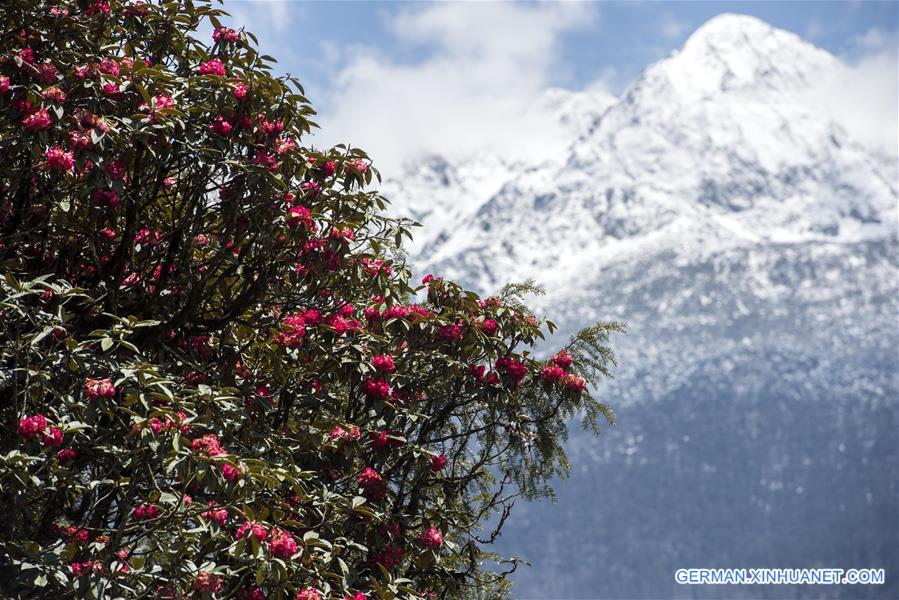 CHINA-TIBET-SCENERY (CN)