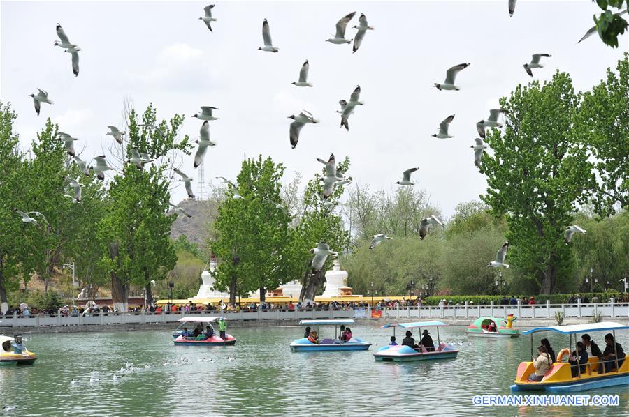 CHINA-TIBET-SCENERY (CN)