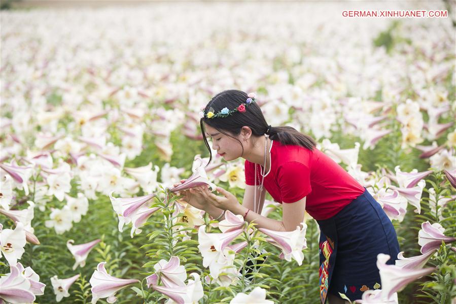 #CHINA-JIANGXI-LILY FLOWERS (CN)