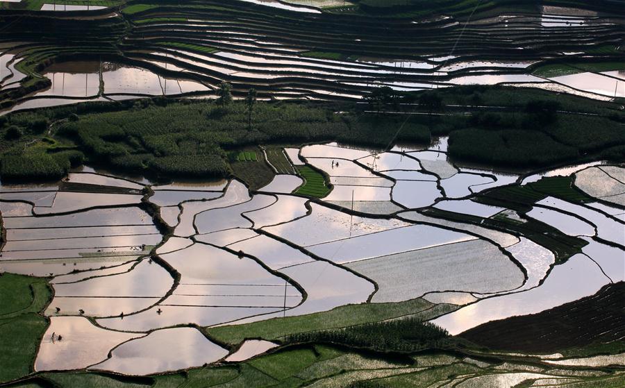 #CHINA-GUANGXI-FARMING-LANDSCAPE (CN)