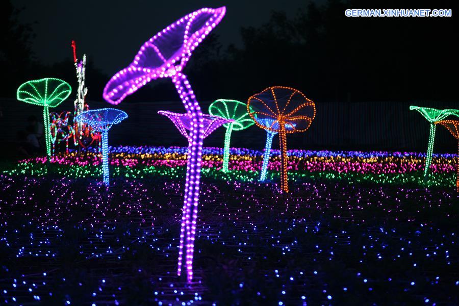 #CHINA-SHANXI-LINFEN-LIGHT FESTIVAL (CN)