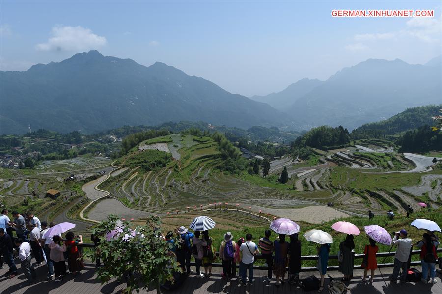 CHINA-ZHEJIANG-YUNHE-TERRACE FIELDS (CN)