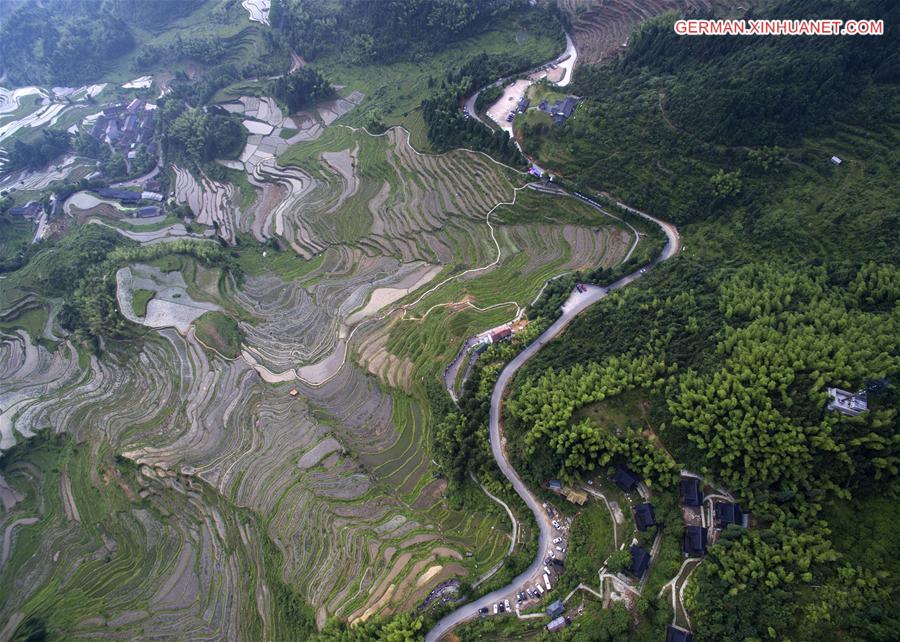 CHINA-ZHEJIANG-YUNHE-TERRACE FIELDS (CN)