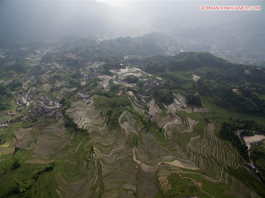 CHINA-ZHEJIANG-YUNHE-TERRACE FIELDS (CN)