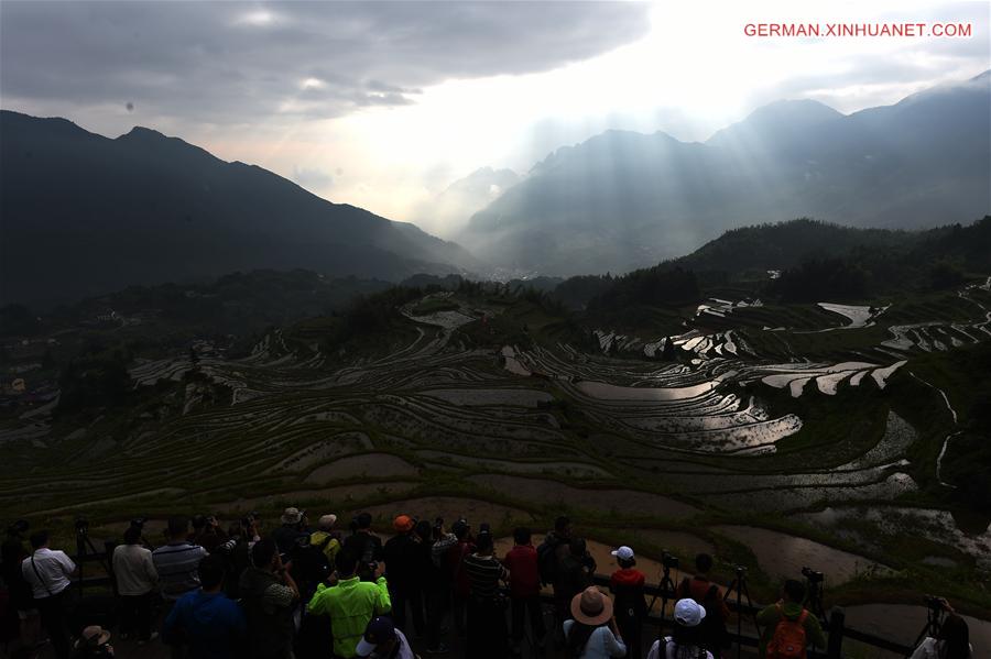 CHINA-ZHEJIANG-YUNHE-TERRACE FIELDS (CN)