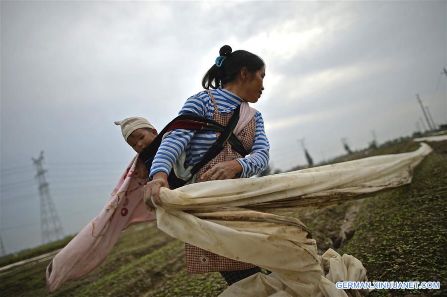 WEEKLY CHOICES OF XINHUA PHOTO