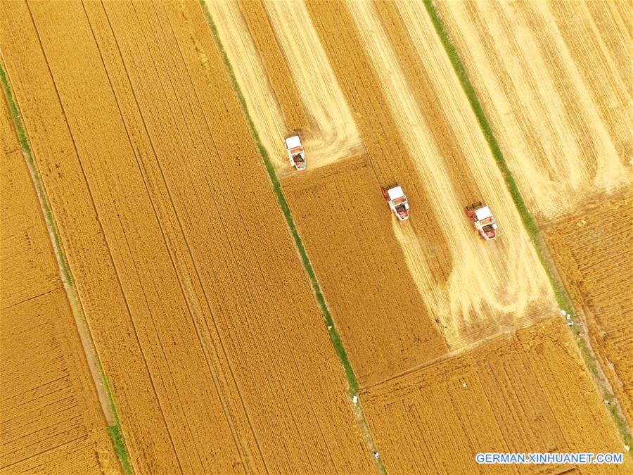 WEEKLY CHOICES OF XINHUA PHOTO