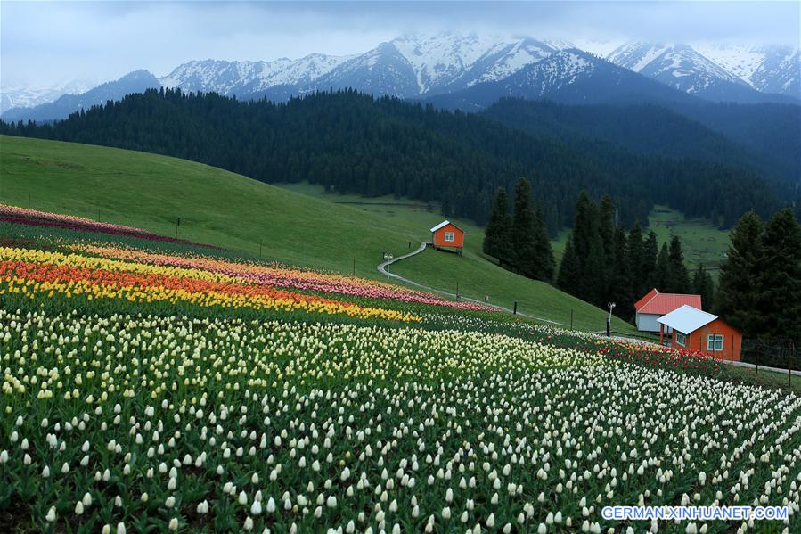 WEEKLY CHOICES OF XINHUA PHOTO