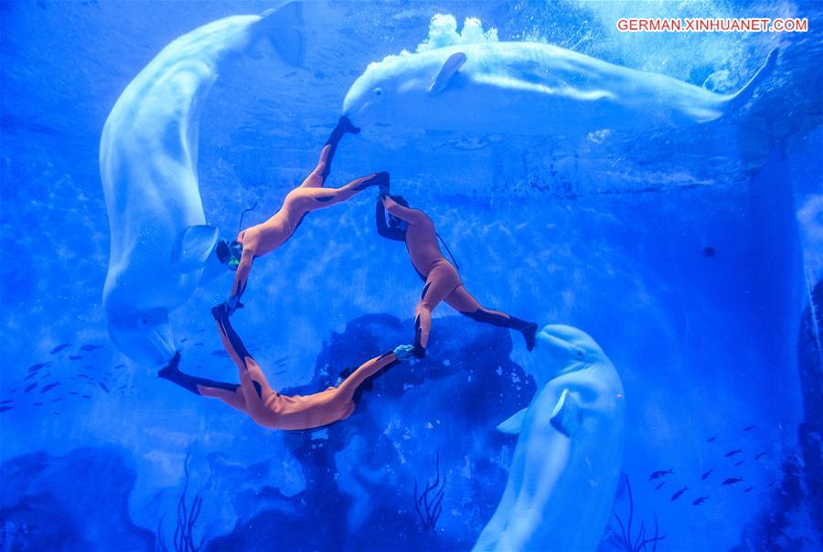 CHINA-TIANJIN-OCEAN PARK-PERFORMANCE (CN)