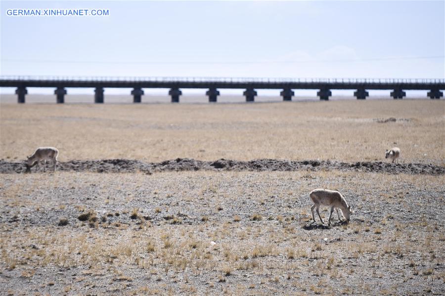 CHINA-QINGHAI-TIBET RAILWAY (CN)