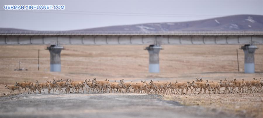 CHINA-QINGHAI-TIBET RAILWAY (CN)