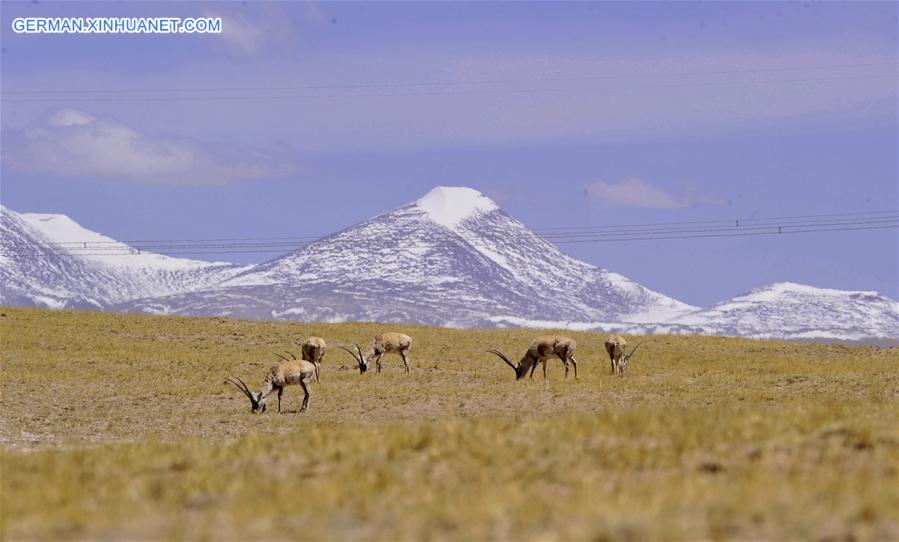 CHINA-QINGHAI-TIBET RAILWAY (CN)