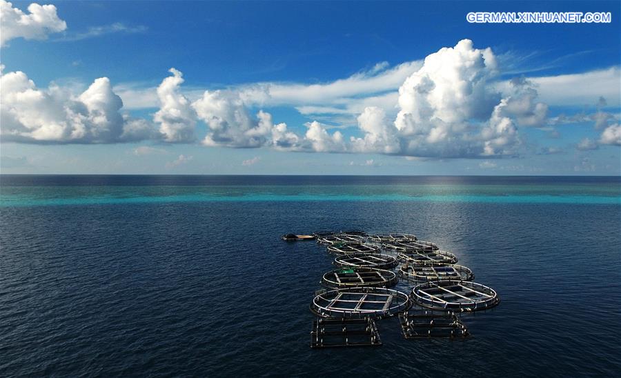 CHINA-HAINAN-MEIJI REEF-FISH FARMING (CN)