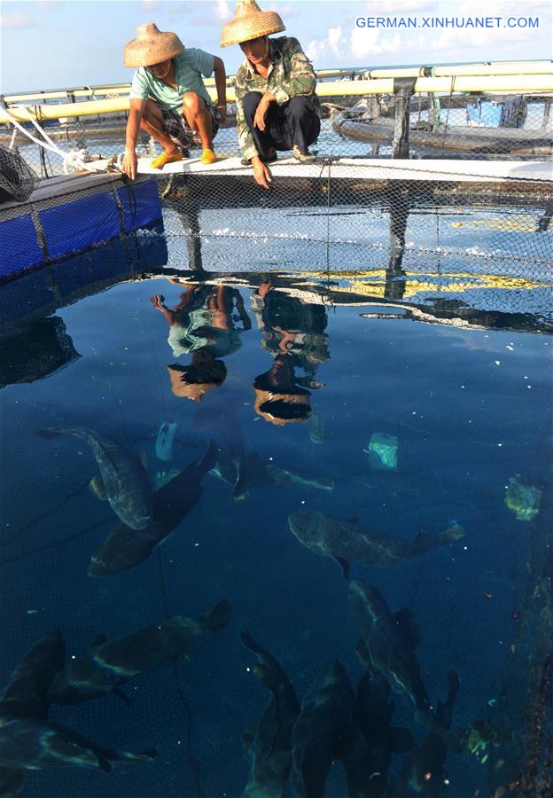 CHINA-HAINAN-MEIJI REEF-FISH FARMING (CN)