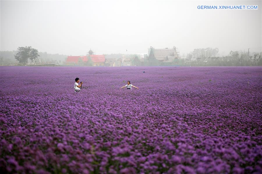 #CHINA-SHANDONG-QINGDAO-TOURISM (CN)