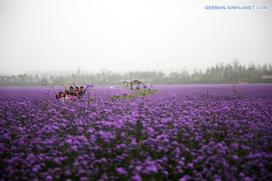 #CHINA-SHANDONG-QINGDAO-TOURISM (CN)