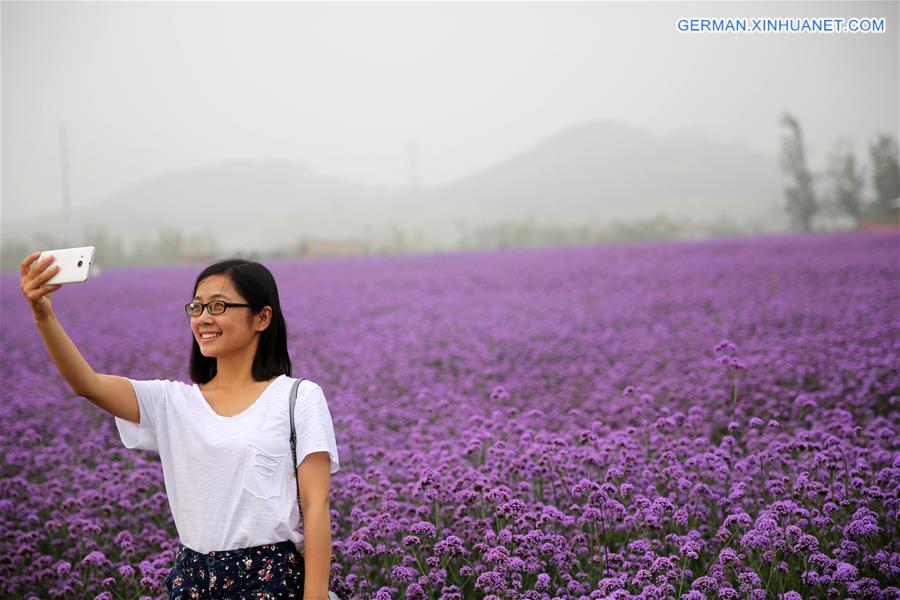 #CHINA-SHANDONG-QINGDAO-TOURISM (CN)