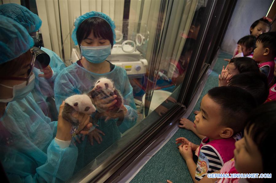 CHINA-MACAO-GIANT PANDA-TWIN CUBS (CN)