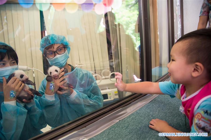 CHINA-MACAO-GIANT PANDA-TWIN CUBS (CN)