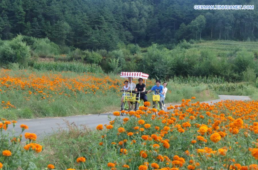 CHINA-BEIJING-BLOSSOMS-TOURISM (CN)